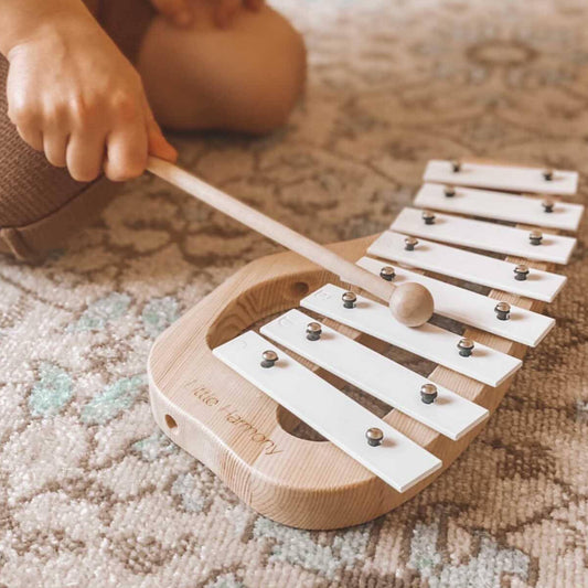 Hand held xylophone